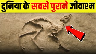 दुनिया के सबसे पहले जानवर को देखकर आपकी फट के चार हो जाएगी 😨
