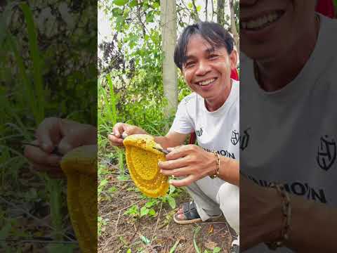 យកឃ្មុំងាយៗ 😁