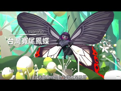 《台灣寬尾鳳蝶》｜ #台灣特有種 2 ｜配音  #大霈 - YouTube(3分03秒)