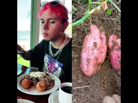 #Diegoochavezlentejas #noflop #lilygarcia #fypシ #StoryTime #xybca #ASMR #pinchetiktokponmeenparati #