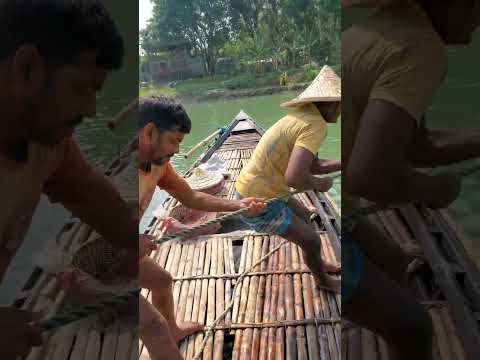 Bar jal fishing in river 