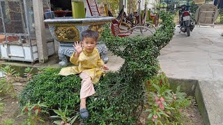 Hướng dẫn uốn con Trâu cảnh _ kênh chế tác
