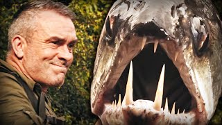 À LA RECHERCHE DU VAMPIRE D’AMAZONIE - Cyril Chauquet