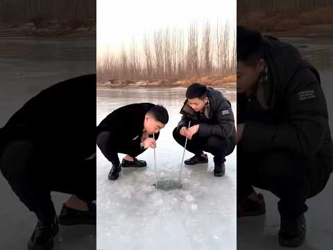 Uống có một ít chắc cũng không sao đâu