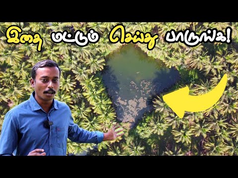 இந்த பண்ணைக்குட்டை ஊருக்கே தண்ணி தருது! | Benefits of my Water Pond #ponds