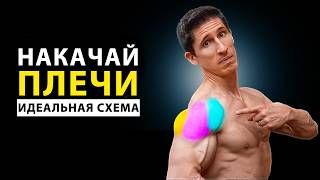 Идеальная Тренировка Дельтовидных Мышц Плеч - По Науке