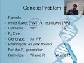 Incomplete Dominance in Genetics