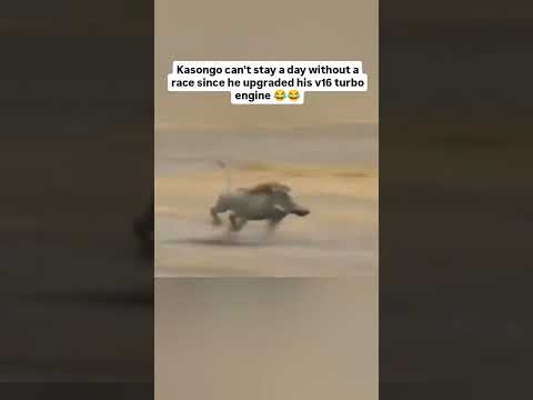 Kasongo yeye #funnyvideo #trendingshorts #trending