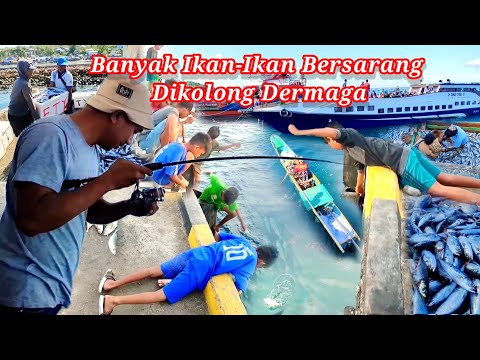 Beginilah Aktivitas Nelayan Didermaga Tua, B0CiL Bermain Sambil Memancing.