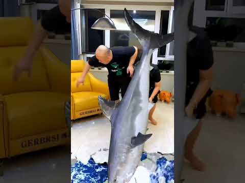 Only at the critical moment do you know what happened. Special effects