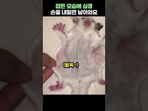 잠든 모습에 심쿵!