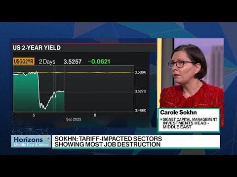 YouTube video thumbnail: Stocks Could Enter Correction If Fed Cuts by 50 BPS, Sokn Says