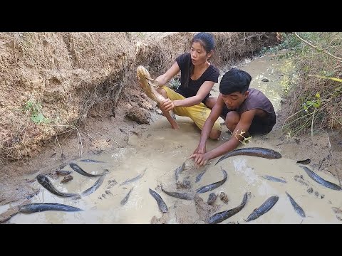 Survival in forest, Catch and cook fish for survival food, Fish grilled with chili sauce for dinner