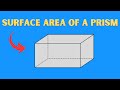Surface Area and Volume Concepts