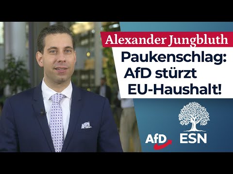 ++ AfD lässt EU-Haushalt scheitern! ++