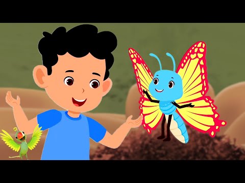 तितली उड़ी, Titli Udi Ud Na Saki, Kukdoo Koo + More Hindi Kids Rhymes and Balgeet for Kids