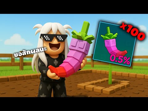 Roblox 100แพ็ค!! เพื่อหา "พริกมังกร" จะได้ไหม555+ (Grow a Garden)