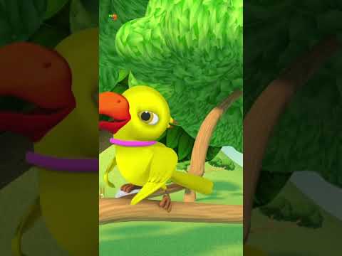 मैं तोता मैं तोता, Main Tota Main Tota, Nursery Rhymes for Babies #shorts #kidsvideos #preschool