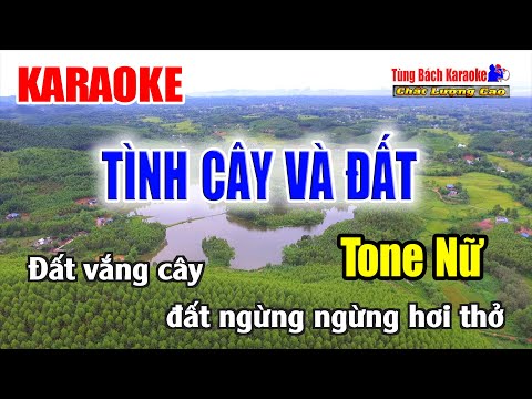 Karaoke || Tình Cây Và Đất ( Tone Nữ )  Nhạc Sống Tùng Bách