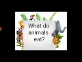 Animal Diets and Characteristics
