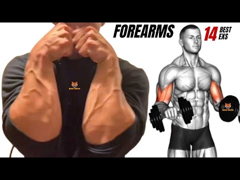 14 BEST Exercises for Bigger Forearms at Gym