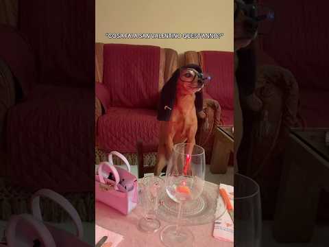 😂😂😂 IO LO PASSERÒ CON LA MIA DOLCE METÀ SAN VALENTINO, E TU?