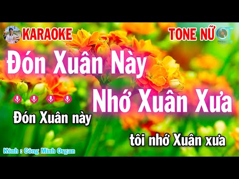 Karaoke Nhạc Xuân 2025 Đón Xuân Này Nhớ Xuân Xưa Tone Nữ