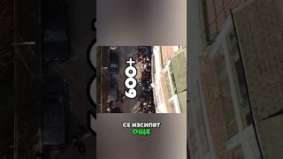 Риболовно събитие с награди и изненади #shorts