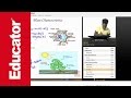Plant Biology Concepts and Functions