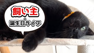 4月11日飼い主の誕生日ライブ！