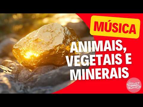 ANIMAIS, VEGETAIS E MINERAIS - MÚSICA - CRIANÇAS INTELIGENTES