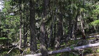 He Was Dragged Over 30 Yards In His Sleeping Bag Part1