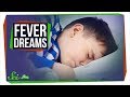 Understanding Fever Dreams