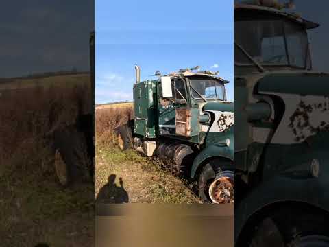 Encontró un camión Kenworth W900A de 1962. Abandonado desde hace 20 años, encenderá?