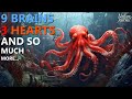 Exploring the Fascinating World of Octopuses