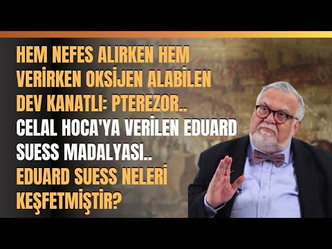 Hem Nefes Alırken Hem Verirken Oksijen Alabilen Dev Kanatlı: Pterezor..