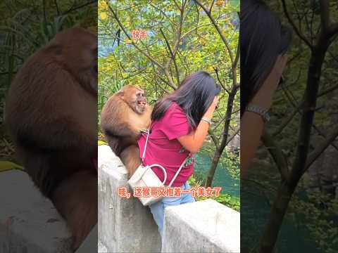 ๐คฃFunny moments of a girl and monkey ๐ #funnyshorts #shorts #monkey #reels