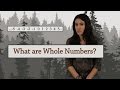 Exploring the World of Integers and Whole Numbers