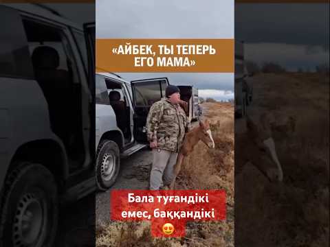 Жаным бауыр басып қалғанғой😍 #казахстан #прикол #казахи #юмор #қазақ #қазақстан #rek #travel