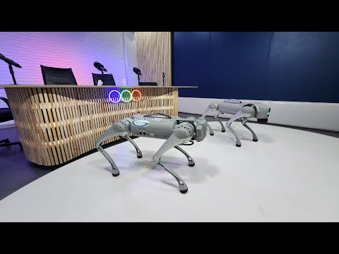 ¿Qué es la inteligencia artificial? Te invitamos a conocer STREAM IA