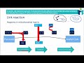 Link Reaction in Cellular Respiration