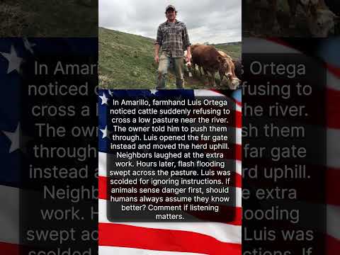 THE FARMHAND WHO OPENED THE GATE 🐄🌾