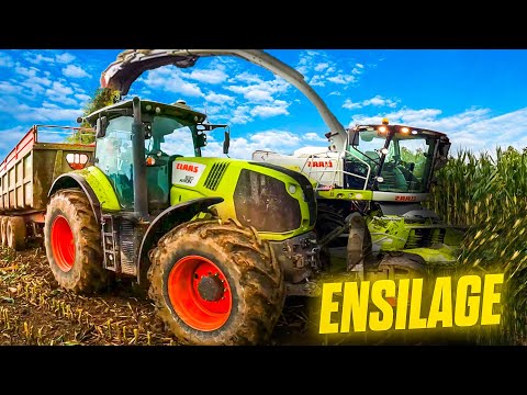 ENSILAGE DE MAÏS 2022 !