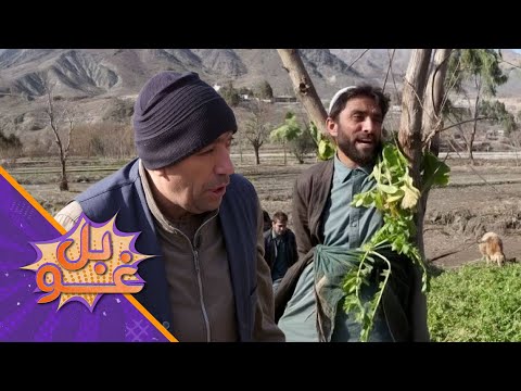 غوبل - اوومه برخه - له کرنیزو ځمکو څخه د سربدال غلا