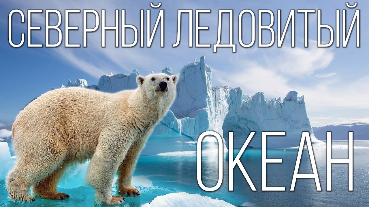 Северный Ледовитый океан: полярная бездна На дне океана