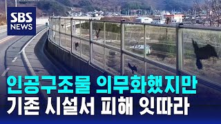 인공구조물 의무화했지만…기존 시설서 피해 잇따라 / SBS