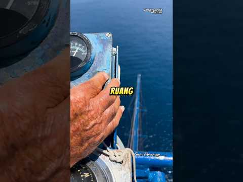 Ruang Kemudi Tertinggi Kapal Ikan