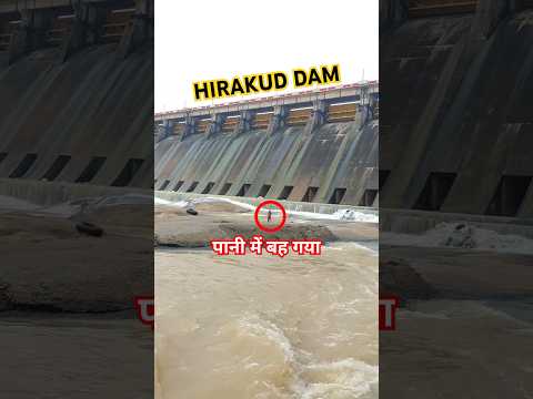 Hirakud Dam Alert For Opening Gates ๐จ #shorts #hirakuddam #dam #sambalpur