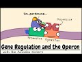 Gene Regulation and the Lac Operon