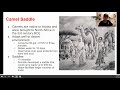 Trans-Saharan Trade and Empires